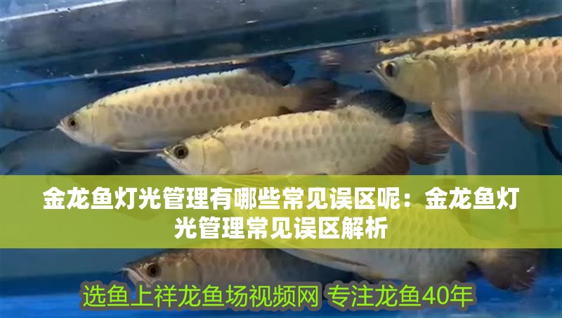 金龍魚燈光管理有哪些常見誤區呢：金龍魚燈光管理常見誤區解析