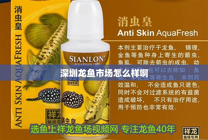 深圳龍魚市場怎么樣啊