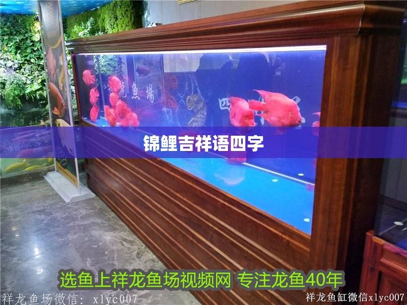 錦鯉吉祥語四字