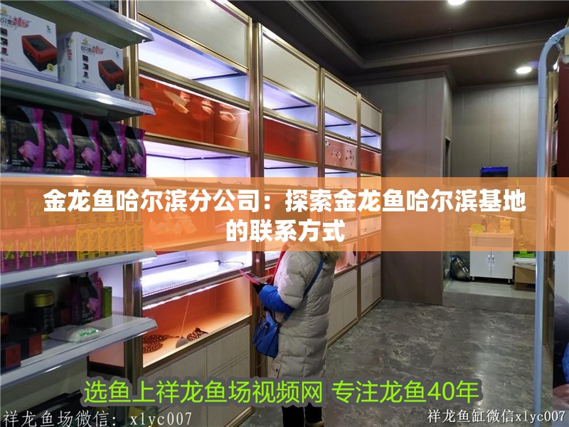 金龍魚哈爾濱分公司：探索金龍魚哈爾濱基地的聯系方式