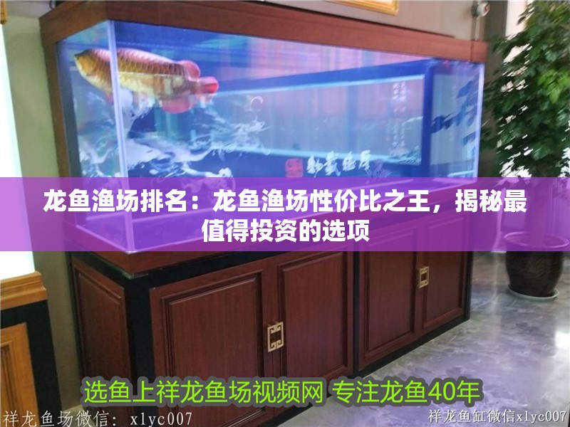 龍魚漁場排名：龍魚漁場性價比之王，揭秘最值得投資的選項