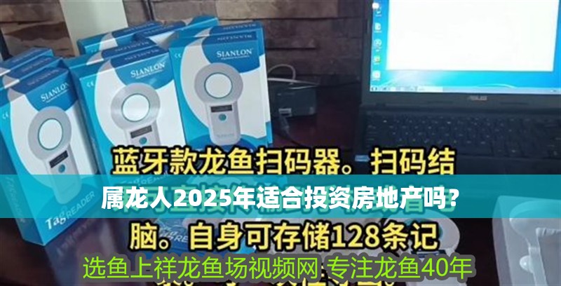 屬龍人2025年適合投資房地產(chǎn)嗎？