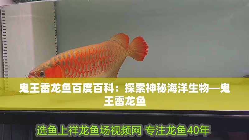 鬼王雷龍魚百度百科：探索神秘海洋生物—鬼王雷龍魚