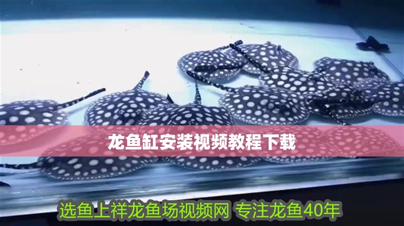 龍魚缸安裝視頻教程下載