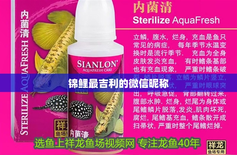 錦鯉最吉利的微信昵稱