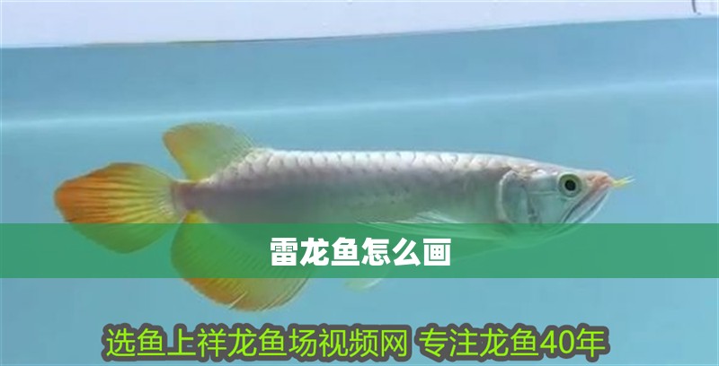 雷龍魚怎么畫