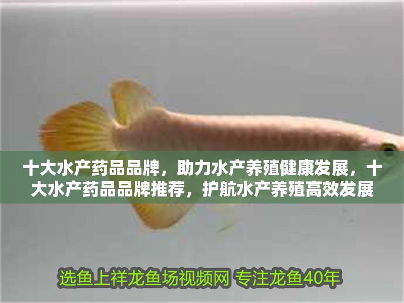 十大水產(chǎn)藥品品牌，助力水產(chǎn)養(yǎng)殖健康發(fā)展，十大水產(chǎn)藥品品牌推薦，護(hù)航水產(chǎn)養(yǎng)殖高效發(fā)展