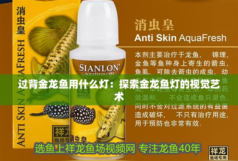 過背金龍魚用什么燈：探索金龍魚燈的視覺藝術