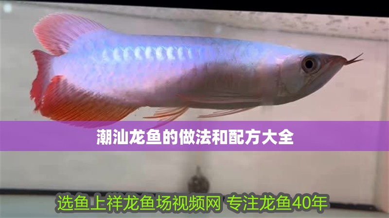 潮汕龍魚(yú)的做法和配方大全