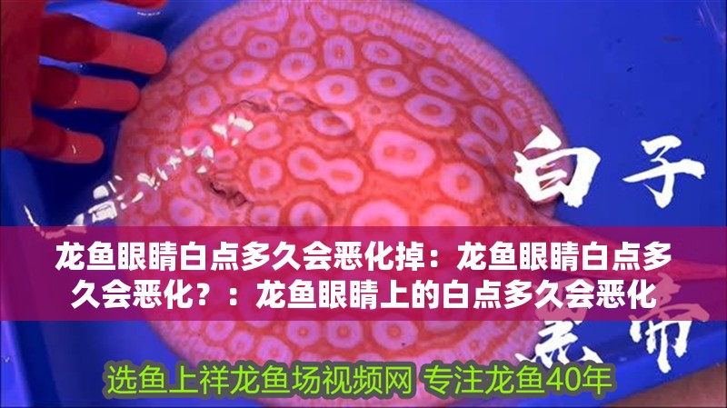 龍魚眼睛白點多久會惡化掉：龍魚眼睛白點多久會惡化？：龍魚眼睛上的白點多久會惡化