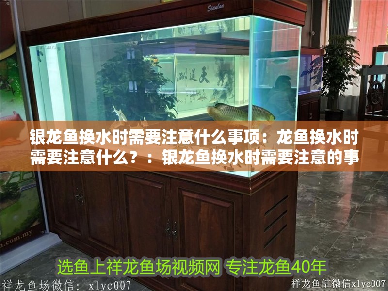 銀龍魚換水時需要注意什么事項：龍魚換水時需要注意什么？：銀龍魚換水時需要注意的事項包括：在換水前需要注意的事項