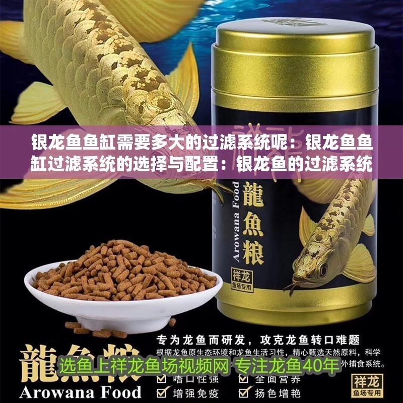 銀龍魚魚缸需要多大的過濾系統(tǒng)呢：銀龍魚魚缸過濾系統(tǒng)的選擇與配置：銀龍魚的過濾系統(tǒng)選擇