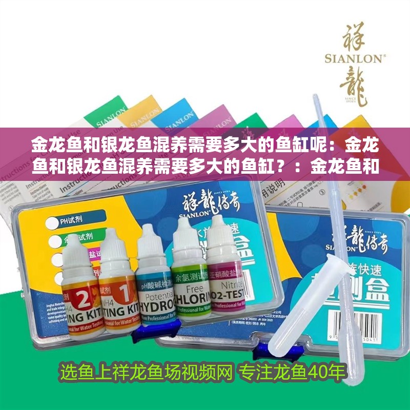 金龍魚和銀龍魚混養需要多大的魚缸呢：金龍魚和銀龍魚混養需要多大的魚缸？：金龍魚和銀龍魚混養的注意事項