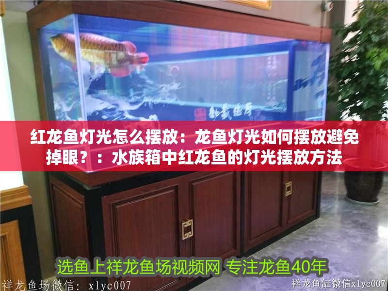 紅龍魚燈光怎么擺放：龍魚燈光如何擺放避免掉眼？：水族箱中紅龍魚的燈光擺放方法