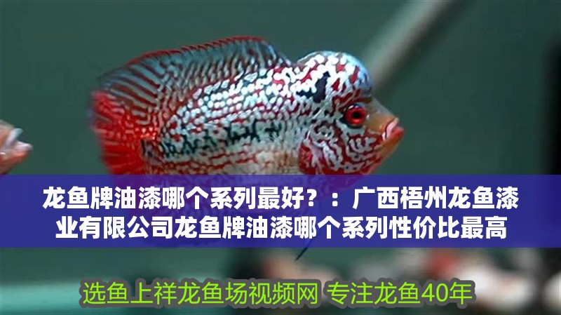 龍魚牌油漆哪個系列最好？：廣西梧州龍魚漆業有限公司龍魚牌油漆哪個系列性價比最高