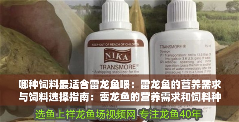 哪種飼料最適合雷龍魚喂：雷龍魚的營養需求與飼料選擇指南：雷龍魚的營養需求和飼料種類及其優缺點