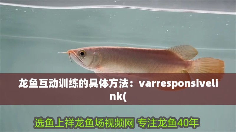 龍魚互動訓練的具體方法：varresponsivelink(