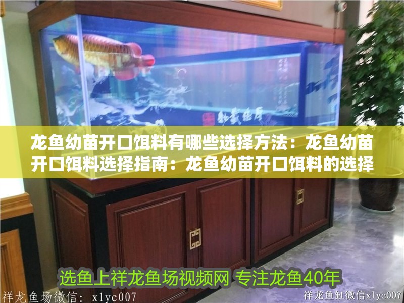 龍魚(yú)幼苗開(kāi)口餌料有哪些選擇方法：龍魚(yú)幼苗開(kāi)口餌料選擇指南：龍魚(yú)幼苗開(kāi)口餌料的選擇