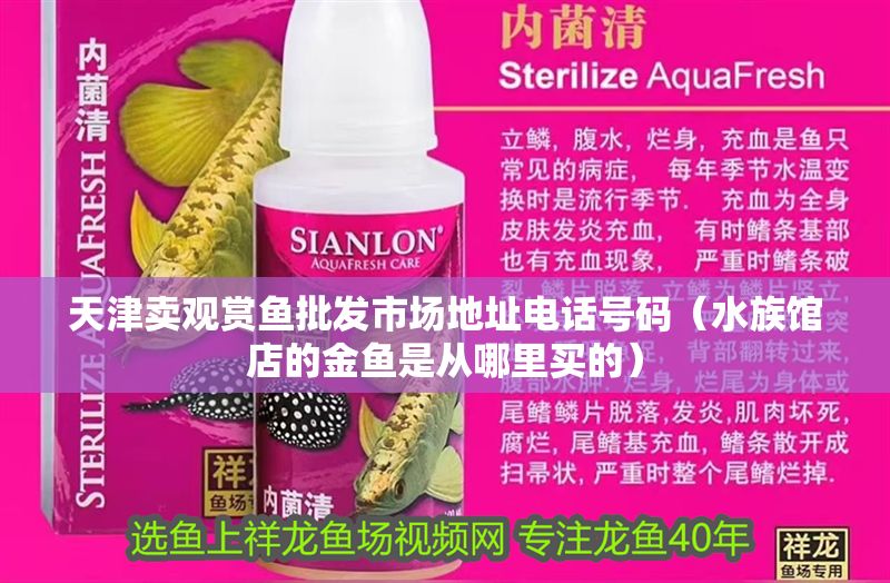 天津賣觀賞魚批發市場地址電話號碼（水族館店的金魚是從哪里買的）