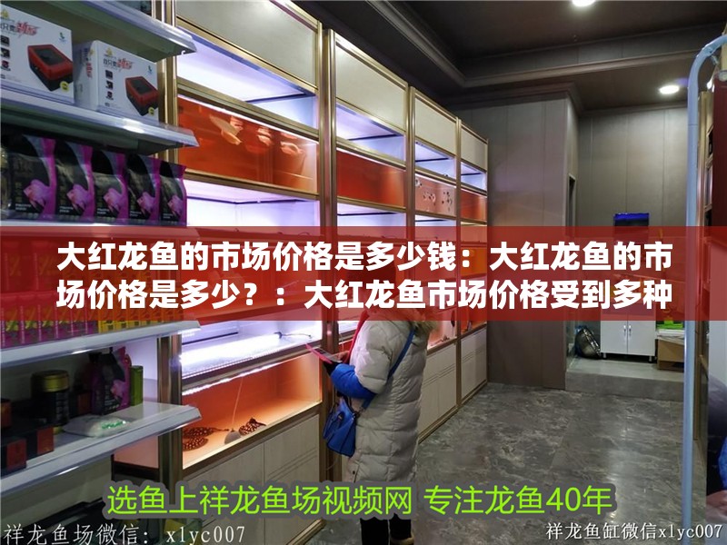 大紅龍魚的市場價格是多少錢：大紅龍魚的市場價格是多少？：大紅龍魚市場價格受到多種因素影響大紅龍魚的價格及其影響因素
