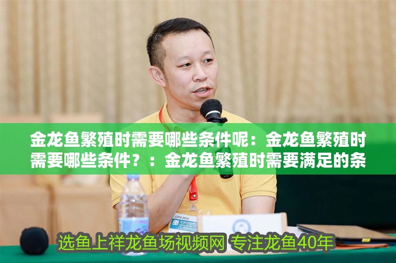 金龍魚(yú)繁殖時(shí)需要哪些條件呢：金龍魚(yú)繁殖時(shí)需要哪些條件？：金龍魚(yú)繁殖時(shí)需要滿足的條件