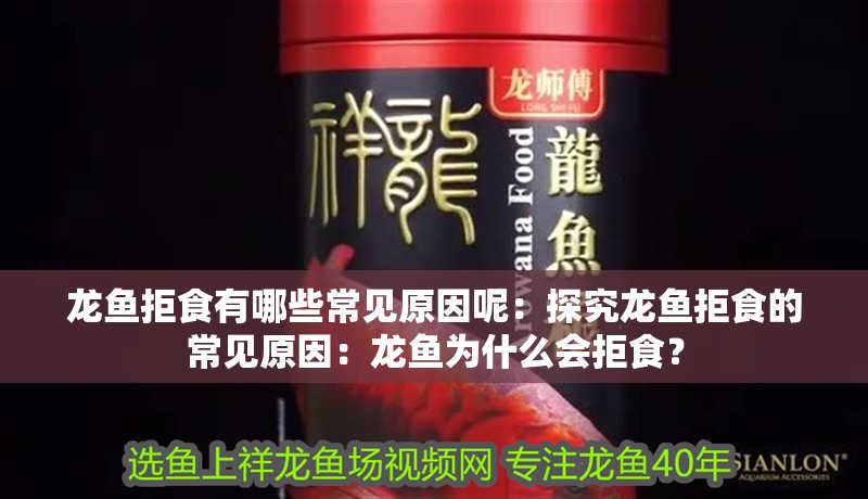 龍魚拒食有哪些常見原因呢：探究龍魚拒食的常見原因：龍魚為什么會(huì)拒食？