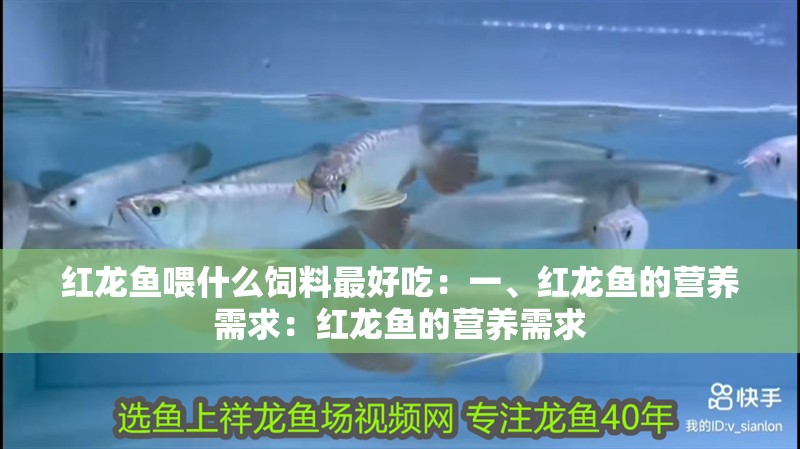 紅龍魚喂什么飼料最好吃：一、紅龍魚的營養需求：紅龍魚的營養需求