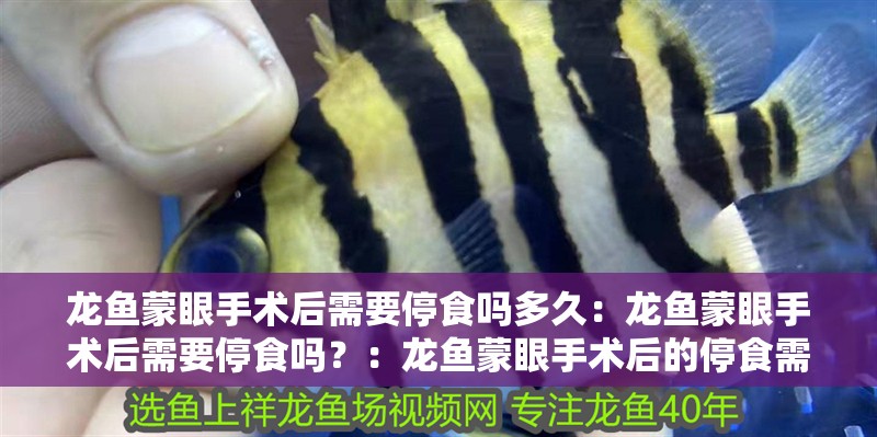 龍魚蒙眼手術后需要停食嗎多久：龍魚蒙眼手術后需要停食嗎？：龍魚蒙眼手術后的停食需要注意什么，龍魚蒙眼手術后需要停食嗎