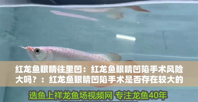 紅龍魚眼睛往里凹：紅龍魚眼睛凹陷手術風險大嗎？：紅龍魚眼睛凹陷手術是否存在較大的風險？