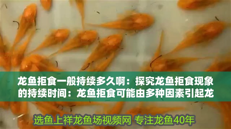 魚缸用增氧泵價格是多少:魚缸增氧機-xtrac增氧機-xtrac增氧機 龍魚拒食一般持續多久啊:探究龍魚拒食現象的持續時間:龍魚拒食可能由多種因素引起龍魚拒食的持續時間因素 水族問答 龍魚拒食一般持續多久啊:探究龍魚拒食現象的持續時間:龍魚拒食可能由多種因素引起龍魚拒食的持續時間因素 龍魚拒食一般持續多久啊:探究龍魚拒食現象的持續時間:龍魚拒食可能由多種因素引起龍魚拒食的持續時間因素 水族問答