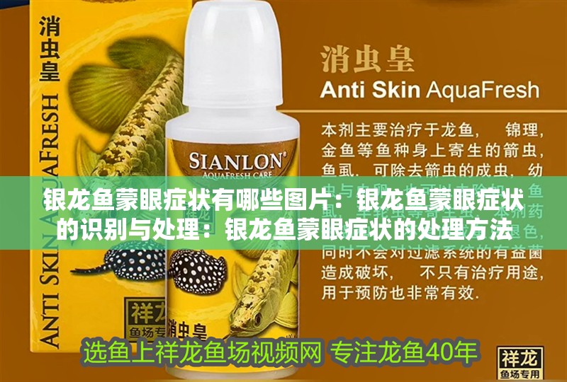 銀龍魚蒙眼癥狀有哪些圖片：銀龍魚蒙眼癥狀的識別與處理：銀龍魚蒙眼癥狀的處理方法