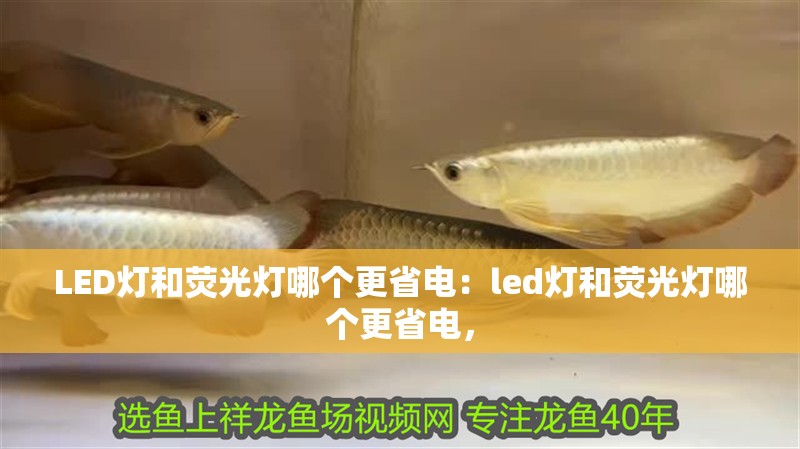 LED燈和熒光燈哪個更省電：led燈和熒光燈哪個更省電，