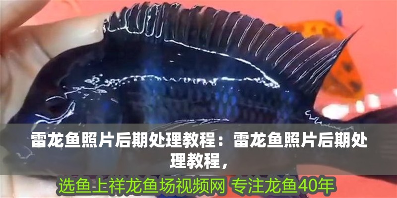 雷龍魚照片后期處理教程：雷龍魚照片后期處理教程，