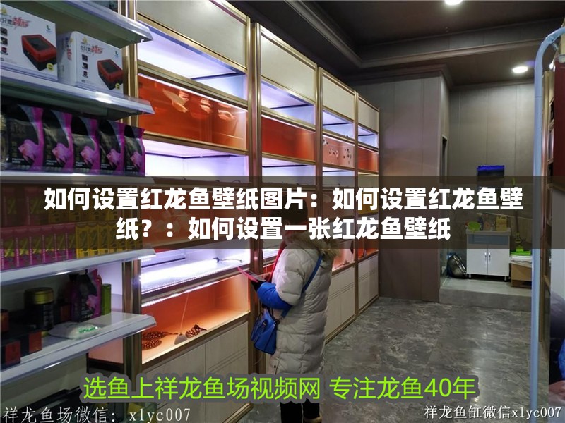 如何設置紅龍魚壁紙圖片：如何設置紅龍魚壁紙？：如何設置一張紅龍魚壁紙