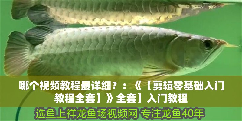 哪個視頻教程最詳細？：《【剪輯零基礎入門教程全套】》全套】入門教程