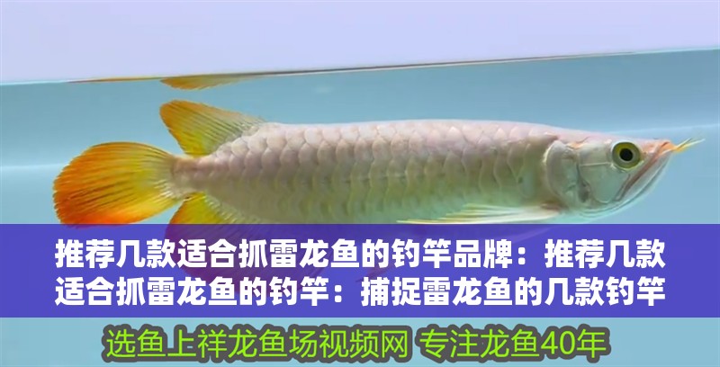 推薦幾款適合抓雷龍魚的釣竿品牌：推薦幾款適合抓雷龍魚的釣竿：捕捉雷龍魚的幾款釣竿推薦