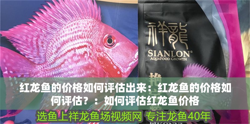 紅龍魚的價格如何評估出來：紅龍魚的價格如何評估？：如何評估紅龍魚價格