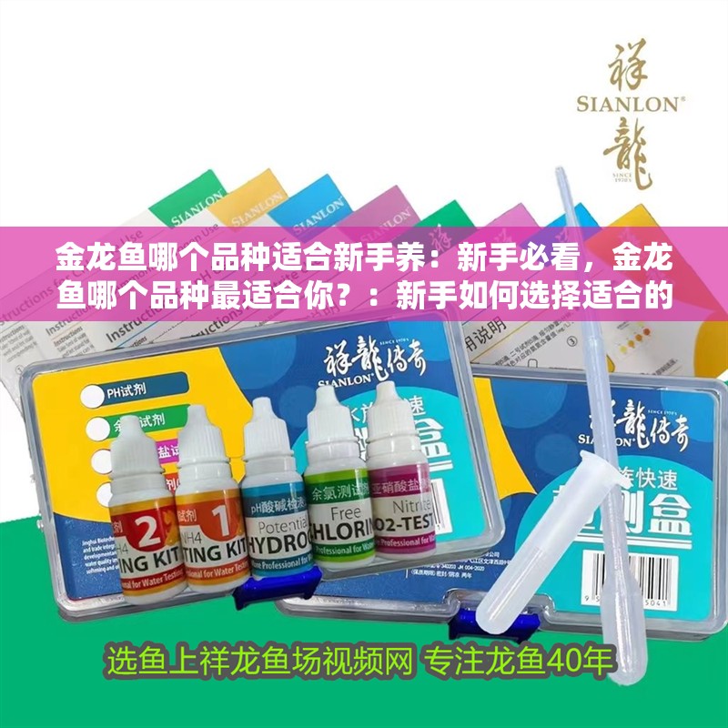 金龍魚哪個品種適合新手養(yǎng)：新手必看，金龍魚哪個品種最適合你？：新手如何選擇適合的金龍魚品種