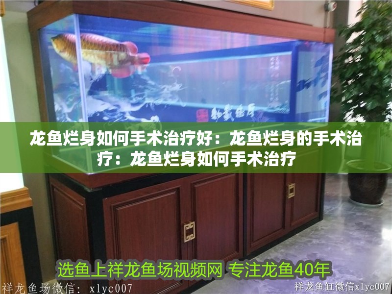 龍魚爛身如何手術治療好：龍魚爛身的手術治療：龍魚爛身如何手術治療