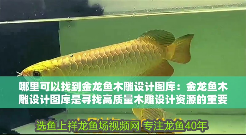 哪里可以找到金龍魚木雕設計圖庫：金龍魚木雕設計圖庫是尋找高質量木雕設計資源的重要途徑