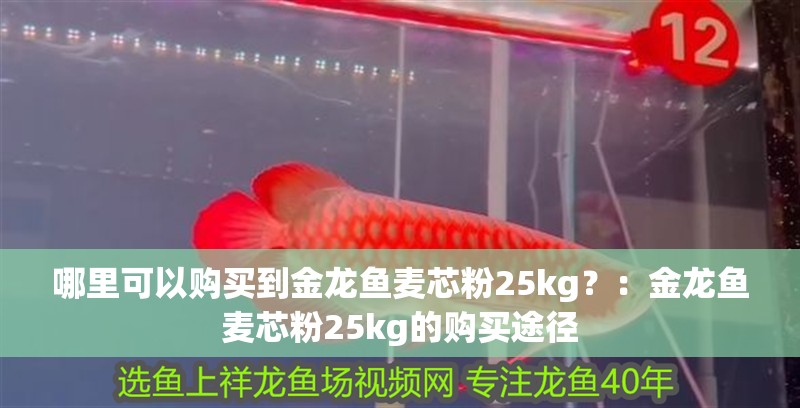 哪里可以購買到金龍魚麥芯粉25kg？：金龍魚麥芯粉25kg的購買途徑