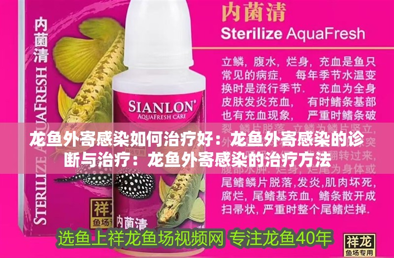 龍魚外寄感染如何治療好：龍魚外寄感染的診斷與治療：龍魚外寄感染的治療方法