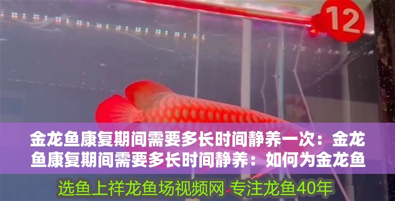 金龍魚康復期間需要多長時間靜養一次：金龍魚康復期間需要多長時間靜養：如何為金龍魚提供最佳的康復環境？