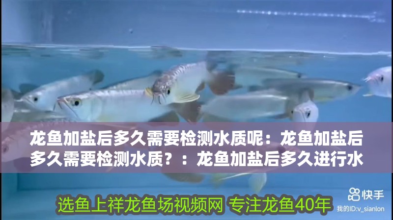 龍魚加鹽后多久需要檢測水質(zhì)呢：龍魚加鹽后多久需要檢測水質(zhì)？：龍魚加鹽后多久進(jìn)行水質(zhì)檢測