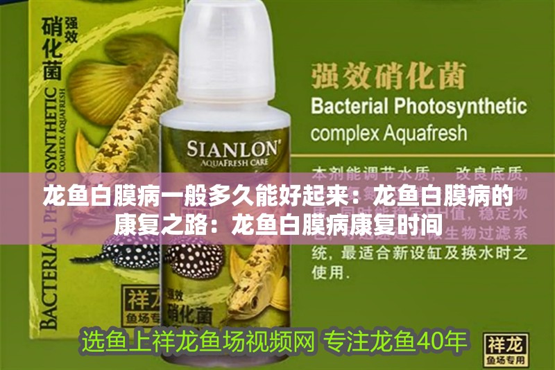 龍魚白膜病一般多久能好起來：龍魚白膜病的康復(fù)之路：龍魚白膜病康復(fù)時間