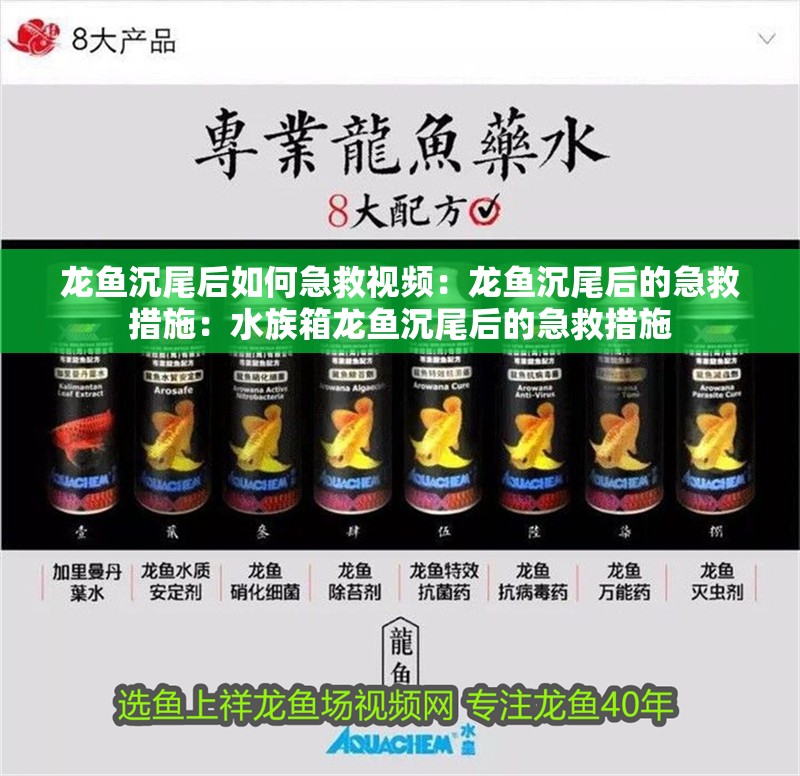 龍魚沉尾后如何急救視頻：龍魚沉尾后的急救措施：水族箱龍魚沉尾后的急救措施