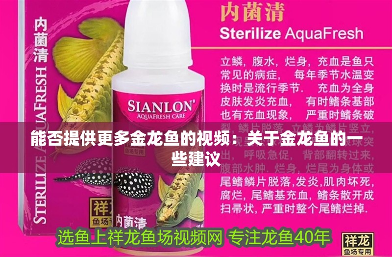 能否提供更多金龍魚的視頻：關于金龍魚的一些建議