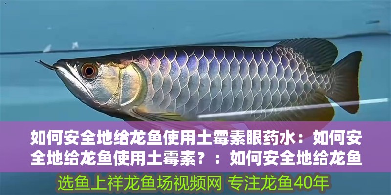 如何安全地給龍魚使用土霉素眼藥水：如何安全地給龍魚使用土霉素？：如何安全地給龍魚使用土霉素