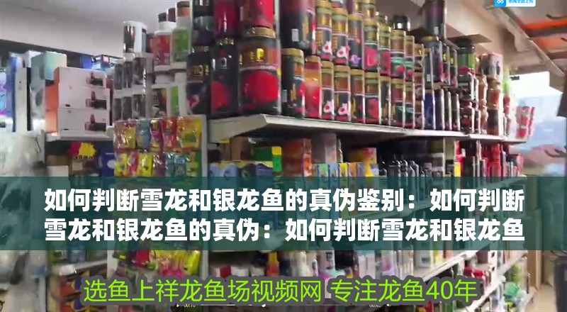 如何判斷雪龍和銀龍魚的真偽鑒別：如何判斷雪龍和銀龍魚的真偽：如何判斷雪龍和銀龍魚的真偽