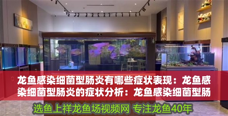 龍魚感染細菌型腸炎有哪些癥狀表現：龍魚感染細菌型腸炎的癥狀分析：龍魚感染細菌型腸炎有哪些癥狀